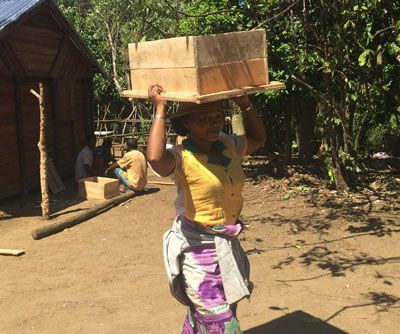  A female beekeeper walking with newly built hive