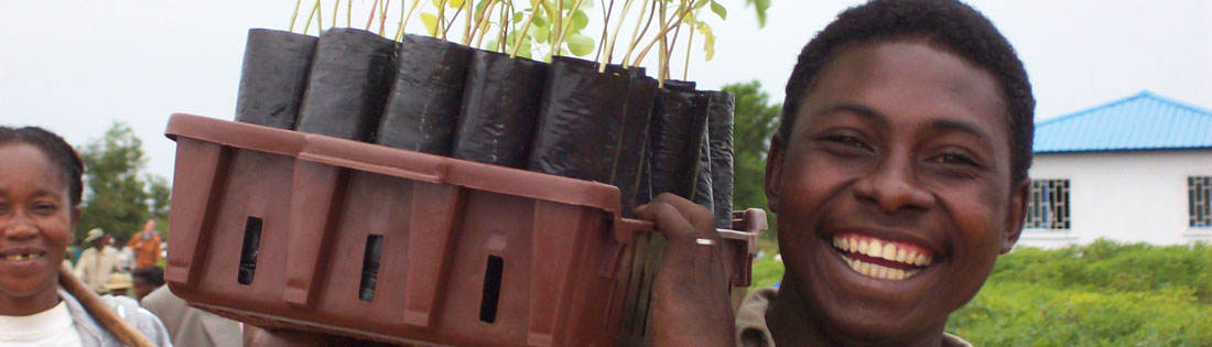 A smiling young man carries Moringa plants