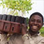 A boy carries moringa seedlings