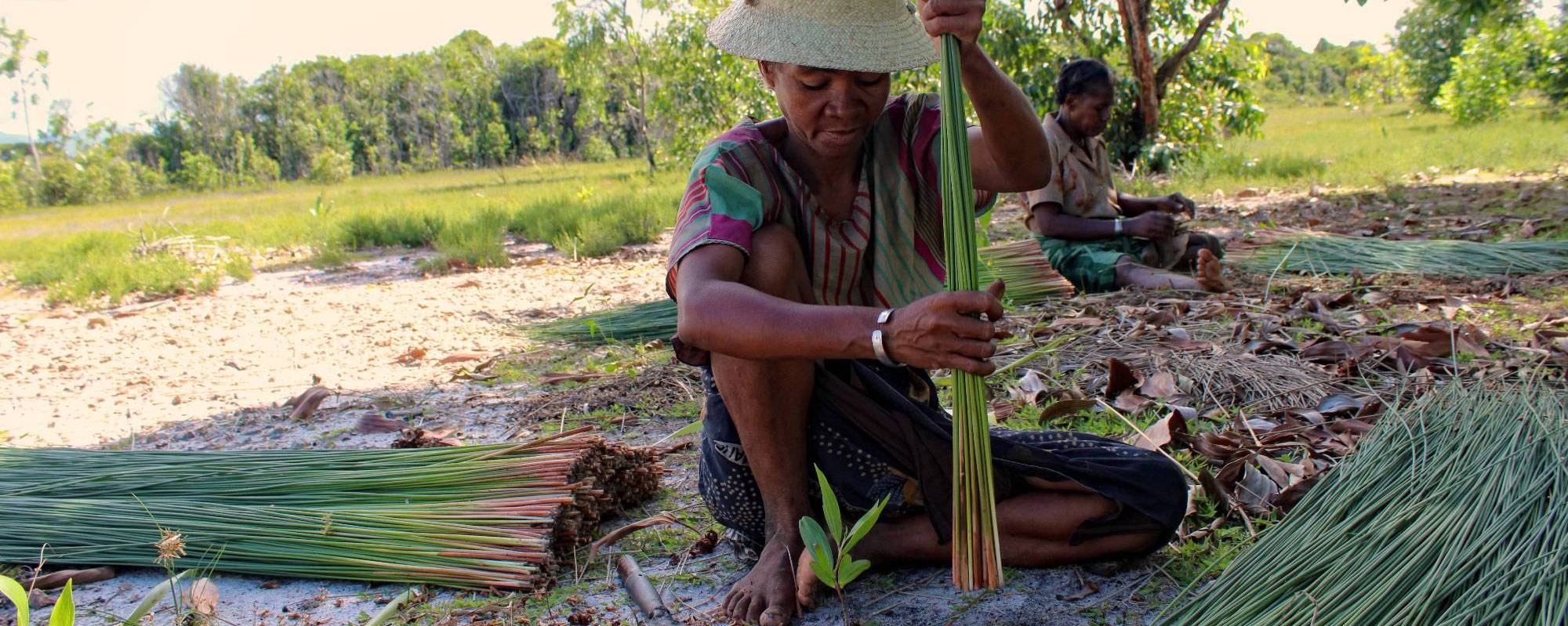 Preparing mahampy reeds for use in a mat