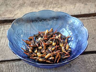 Cooked sakondry "bacon bugs" in bowl