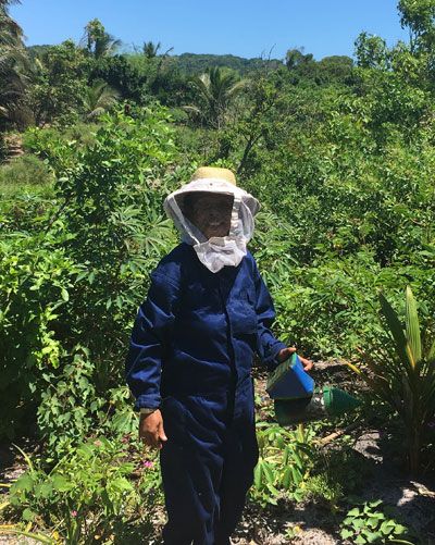  A beekeeper dressed in a beekeeper suit