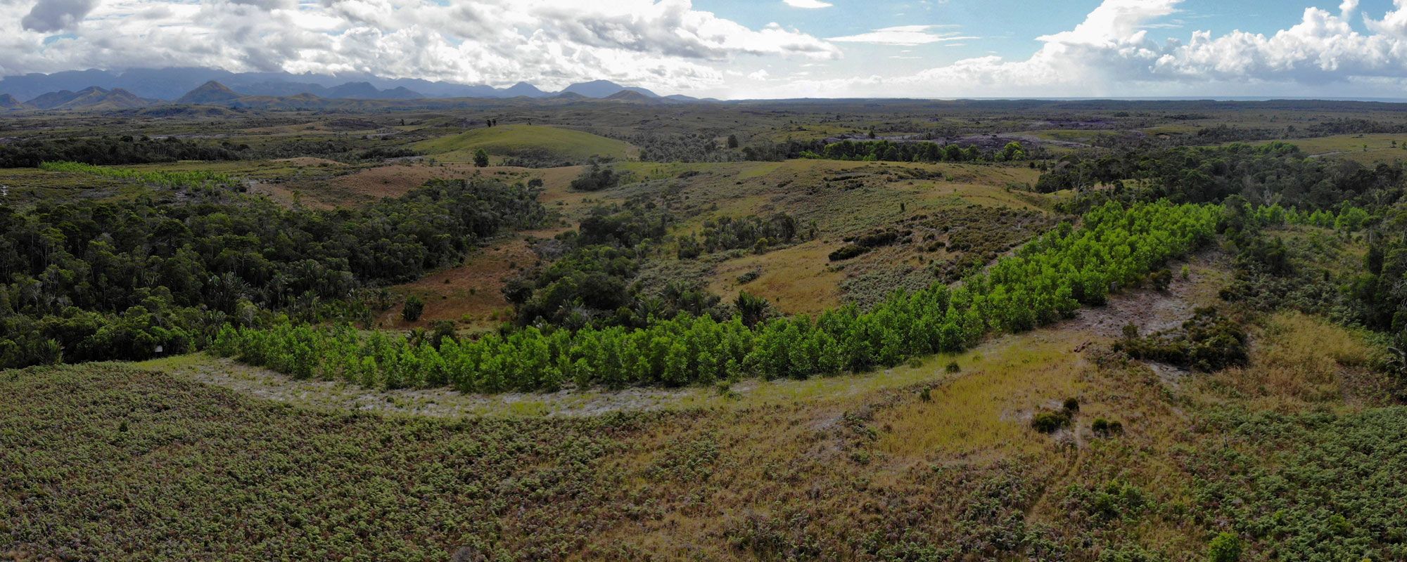 Aerial photo, corridor 3 of SEED's reforestation project in Sainte Luce, Madagascar