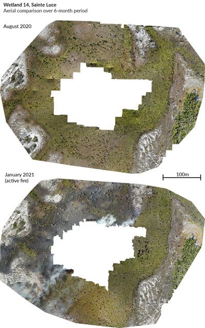  A data image of the effects of fire on Wetland 14