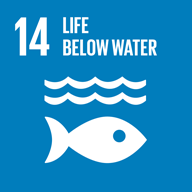 sdg-14-life-below-water.png