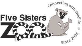 Five Sisters Zoo