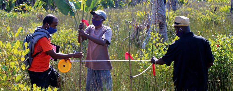  A team with tape measures managing wetlands in Sainte Luce