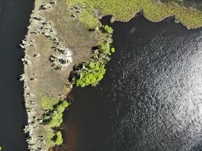  Aerial photograph of a portion of Wetland 21