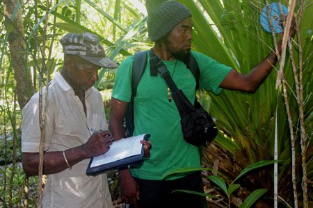 herps-day-transect.jpg