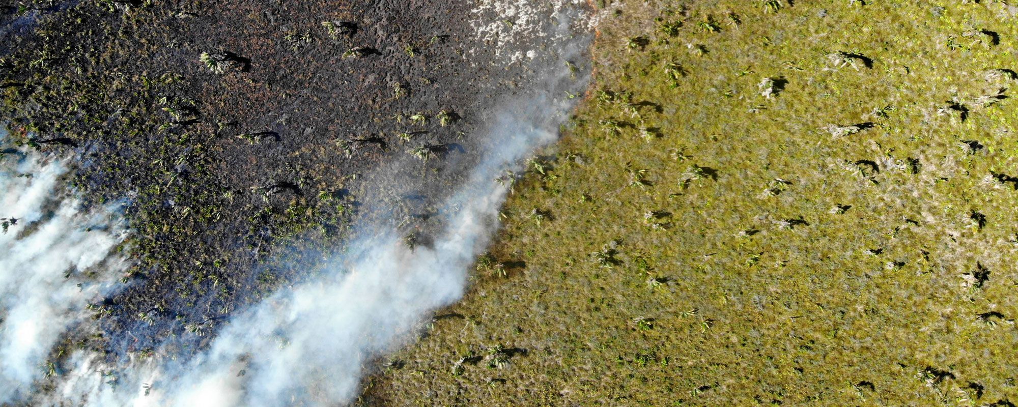 Aerial photo taken by Mavic Air of mahampy wetland on fire in Madagascar