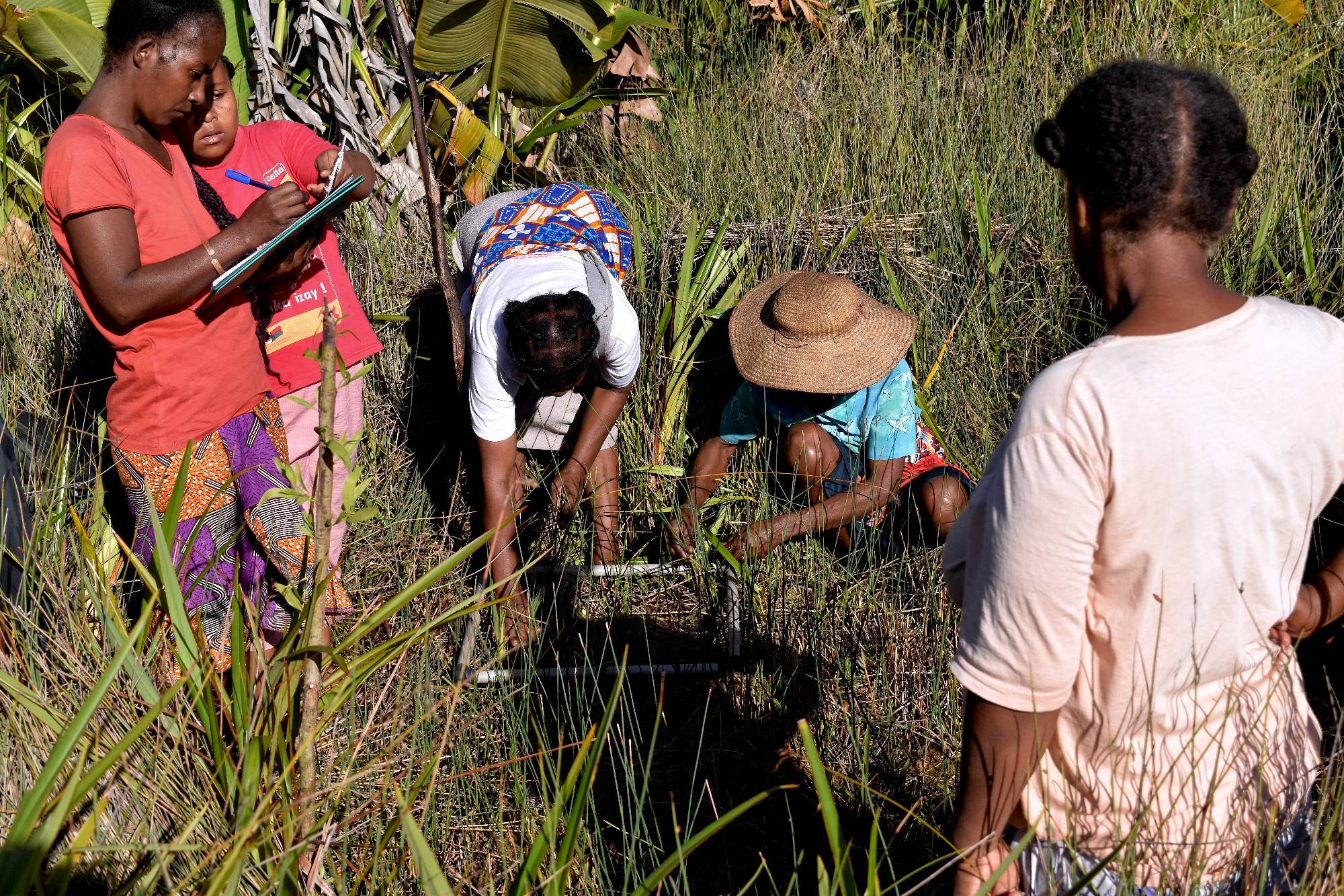 [picture 1] Weavers collecting data on the mahampy reeds.jpg