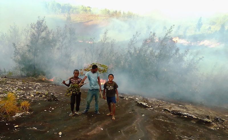 bushfire-tavy-slash-and-burn-agriculture-mahialambo.jpg