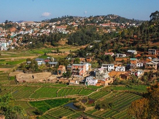 Rice paddies in Antananarivo