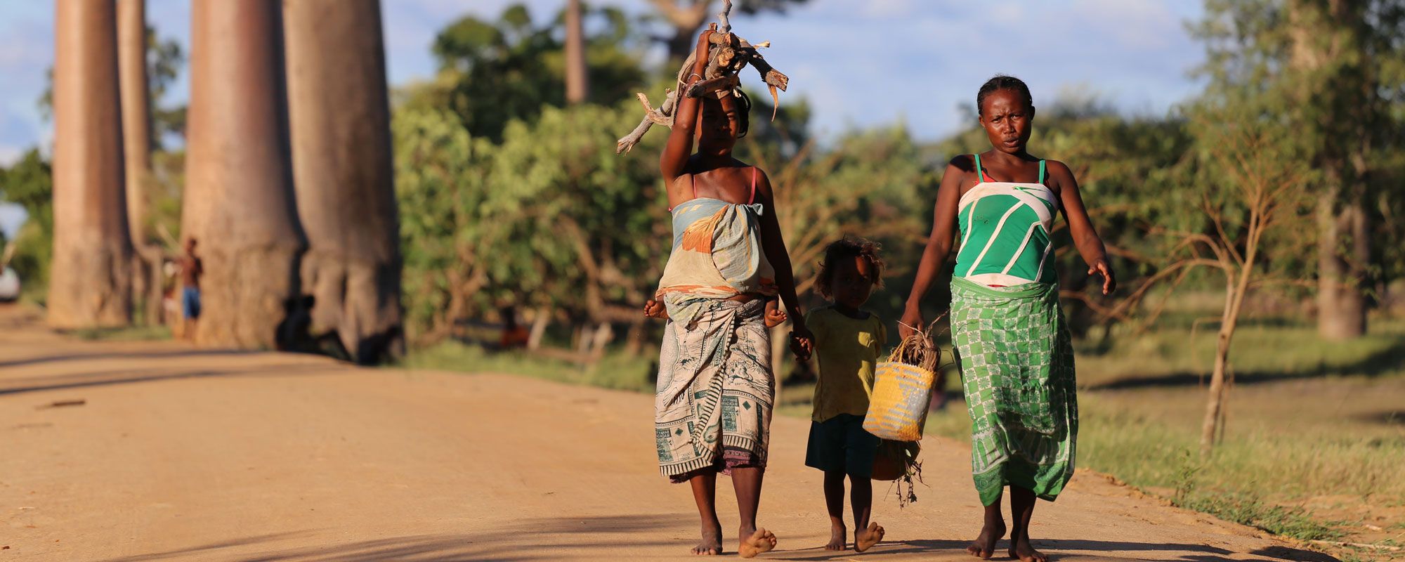 People walking near baobab trees in Madagascar