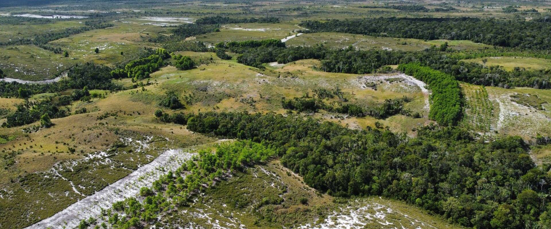 Corridors 3 and 4 in the littoral forests of southeast Madagascar