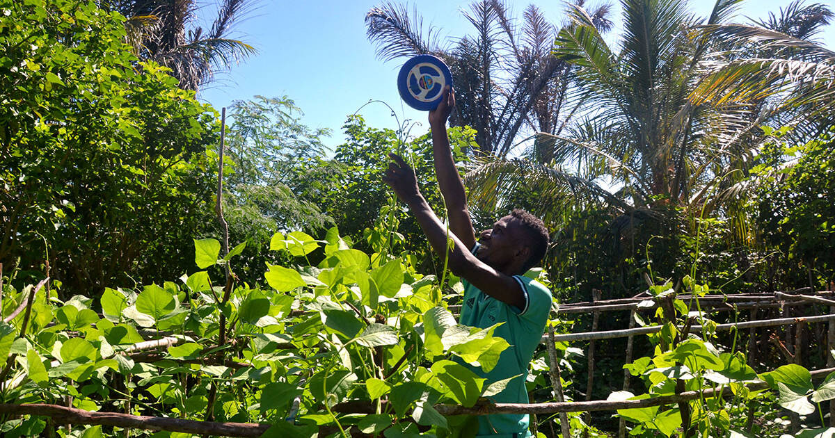 victoire-measuring-antaky-plants.jpg