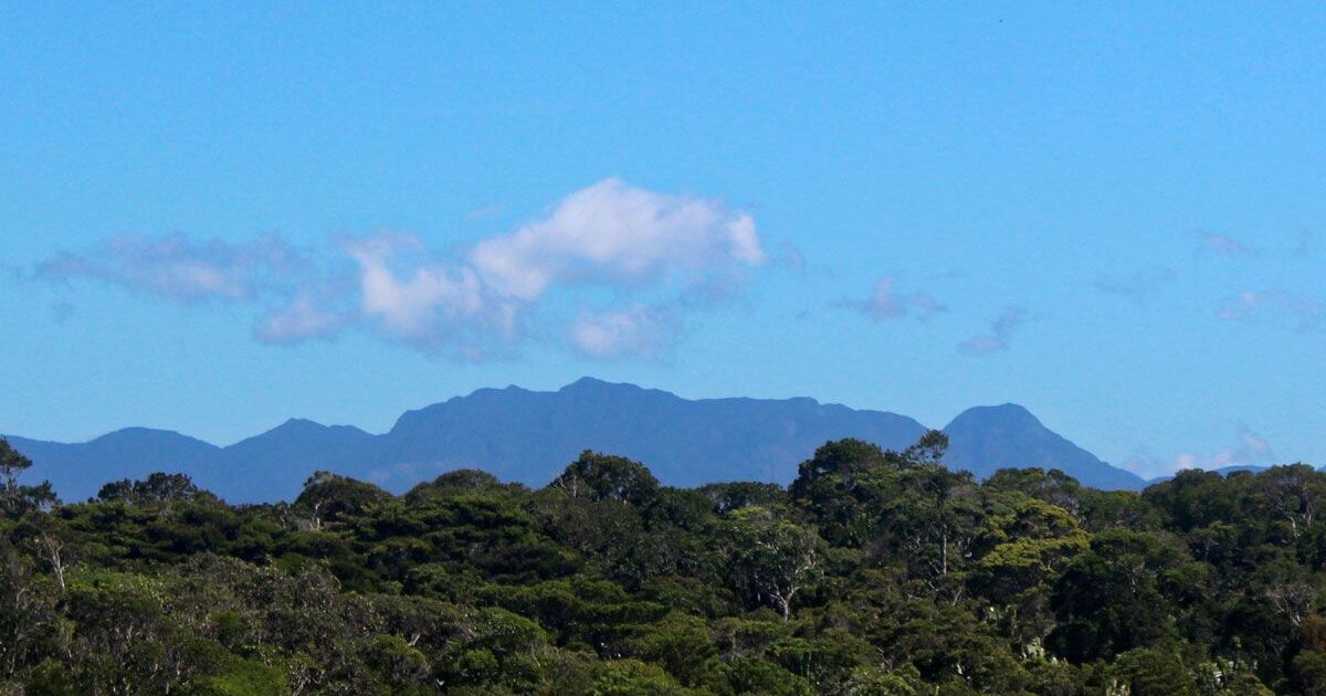 Sainte-Luce-forest-mountains.jpg